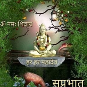 Meet your Posher, Nutan